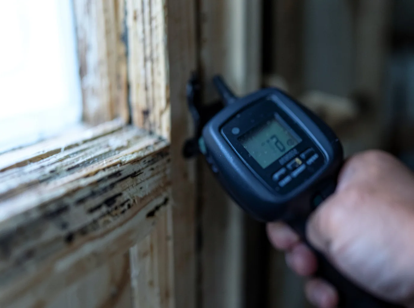 Commercial Water Damage Restoration in Foster, OR